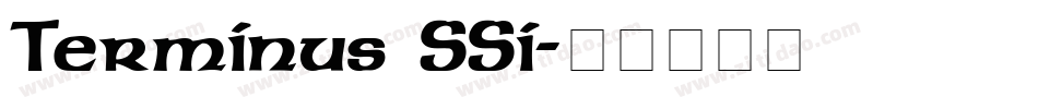 Terminus SSi字体转换
